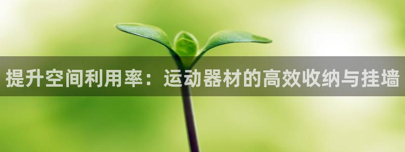 k1官方平台体育:提升空间利用率:运动器材的高效收纳与挂墙