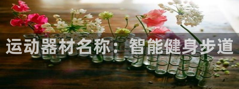 k1体育官网下载招商电话地址是多少:运动器材名称:智能健身步