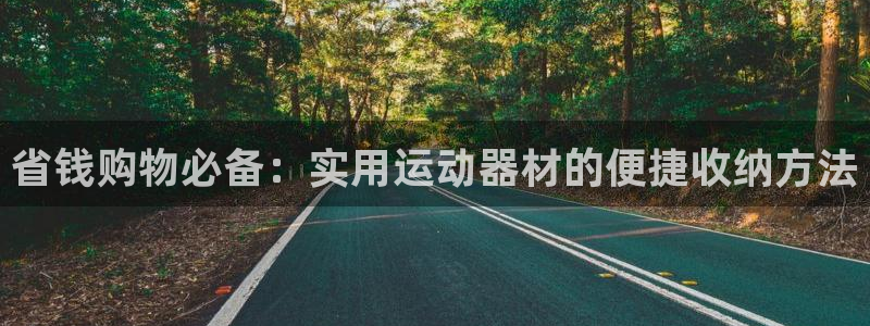 k1体育官方正版app新能源:省钱购物必备:实用运动器材的便